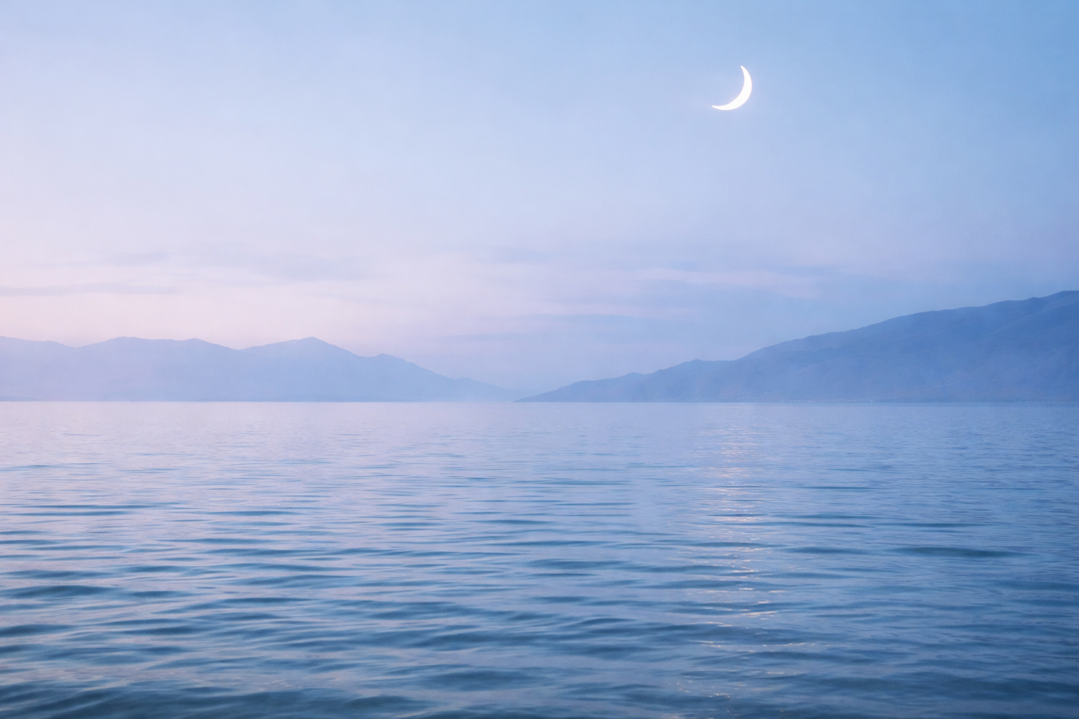 generated image 4 1.png